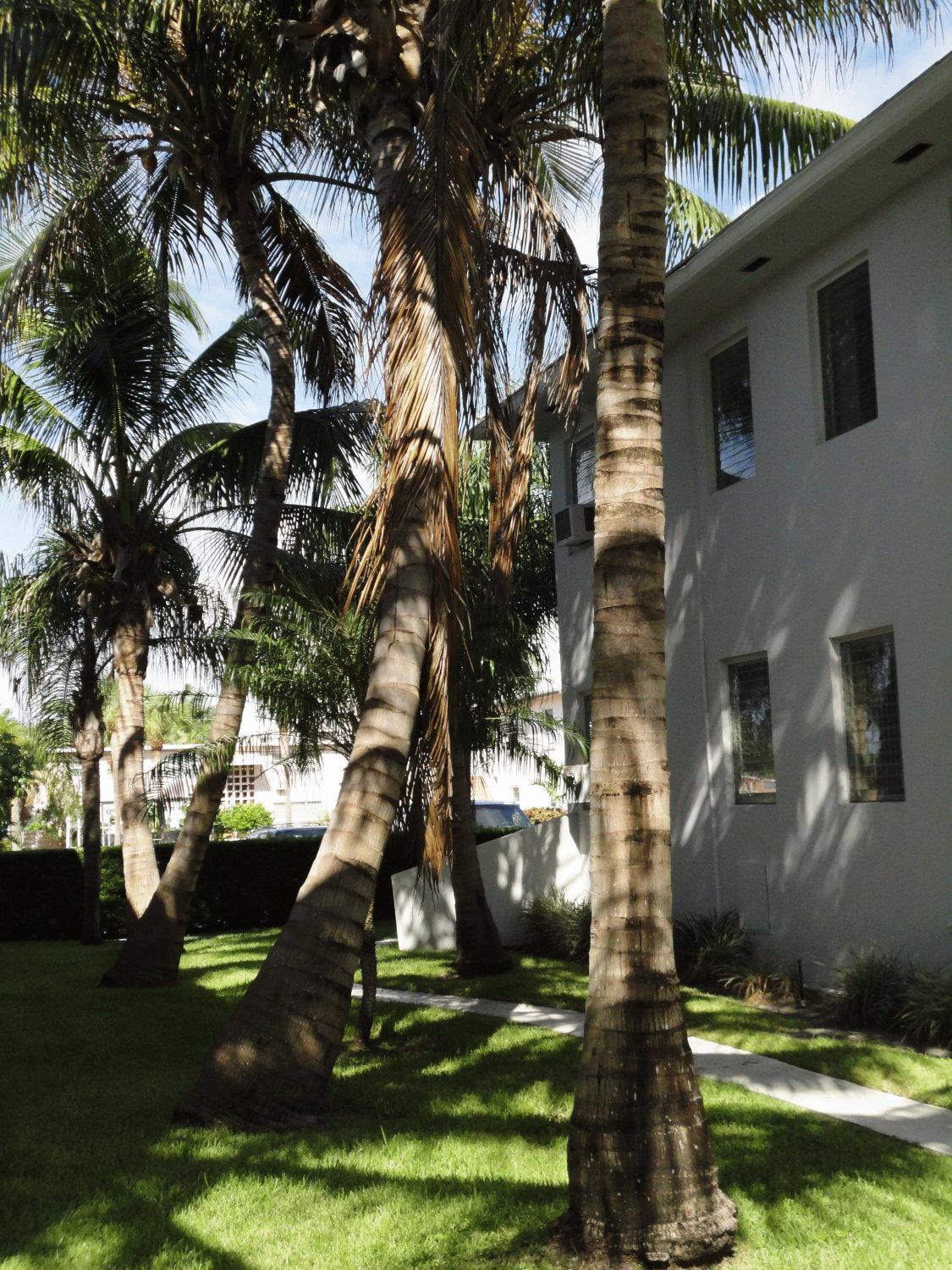 Summerland Suites Fort Lauderdale Eksteriør bilde